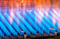 Renwick gas fired boilers